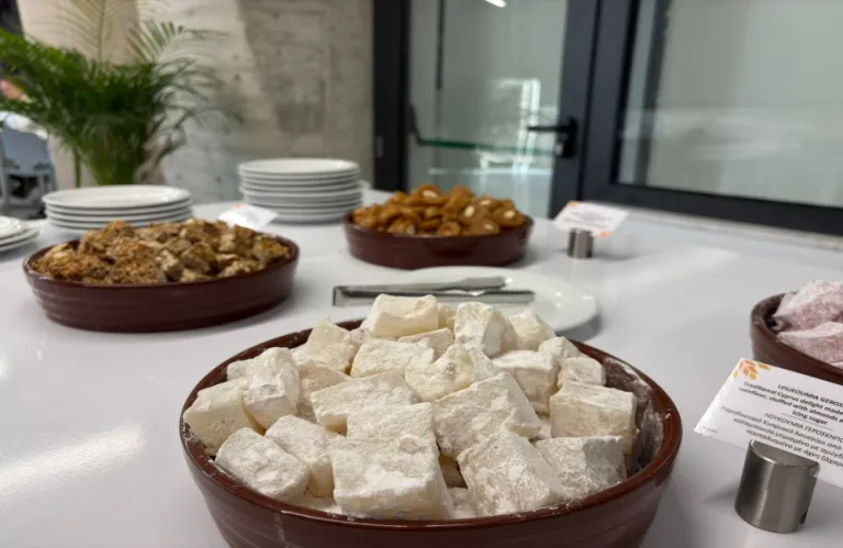 Εντυπωσιάσαμε και τους ξένους δημοσιογράφους -Από λουκκούμι της Γεροσκήπου μέχρι... σιουσιούκκο στο brunch της κυπριακής Προεδρίας