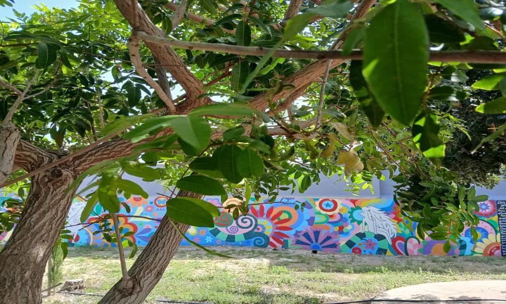 Header Image