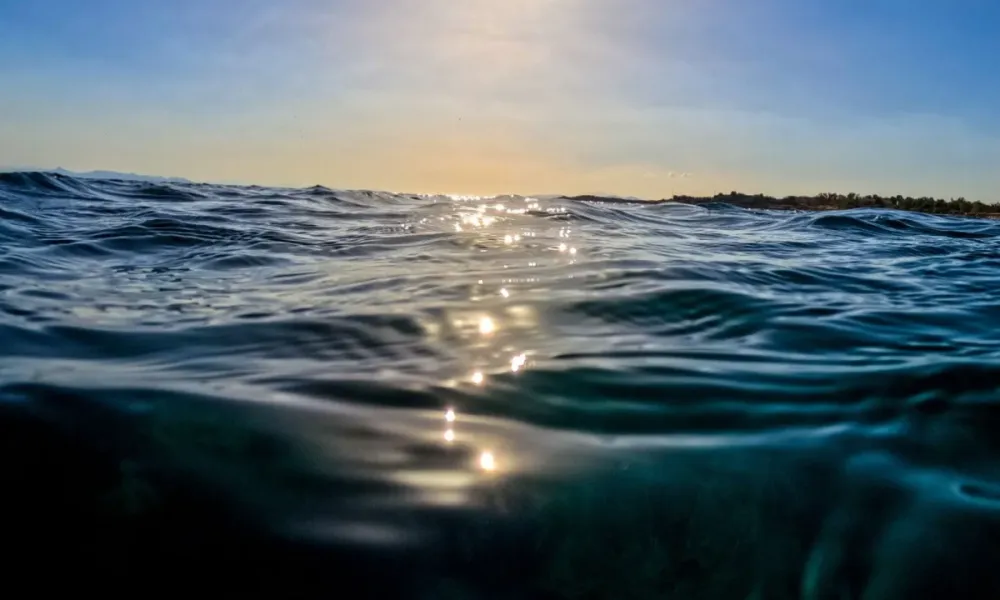 Header Image