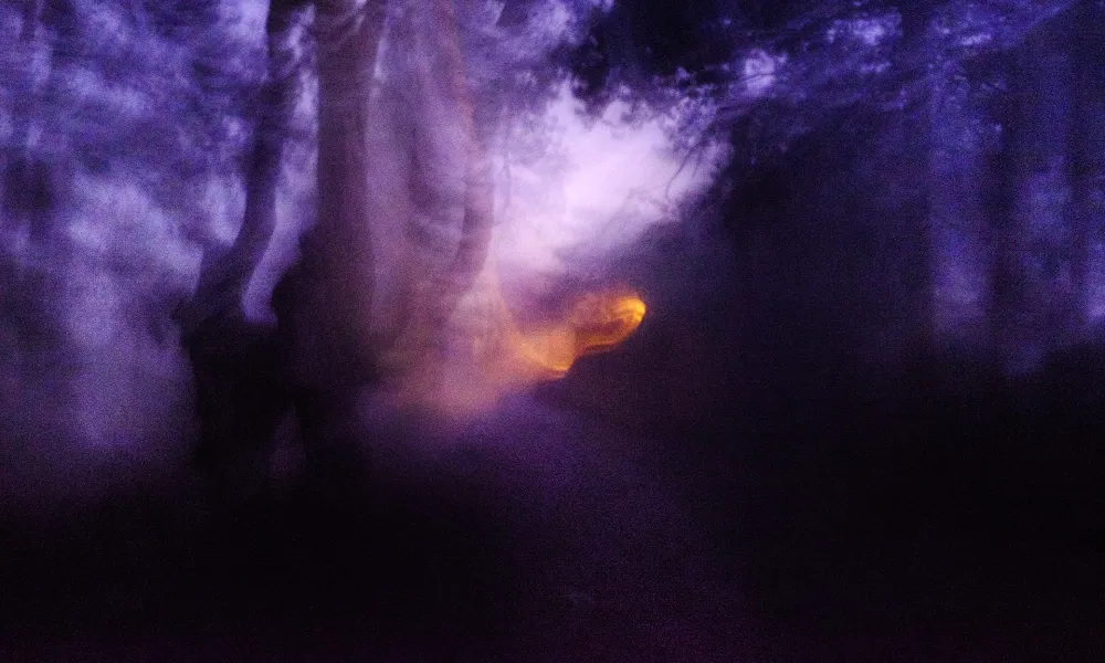 Ανοίγει σήμερα η έκθεση «Echoes of Trees – Between Image and Verse»