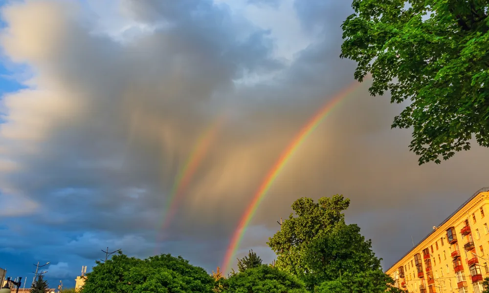 Header Image