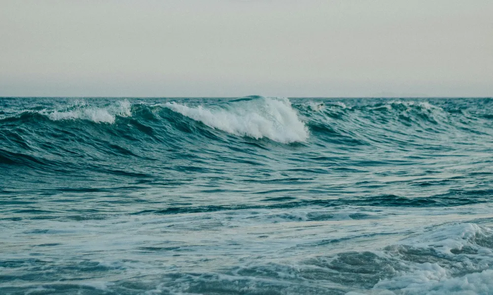 Header Image