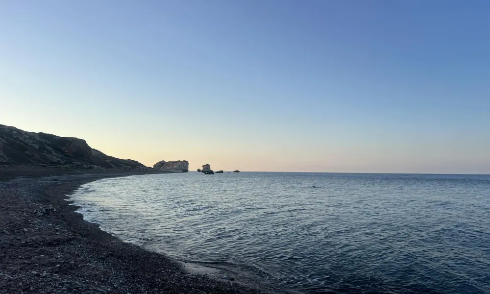 Header Image