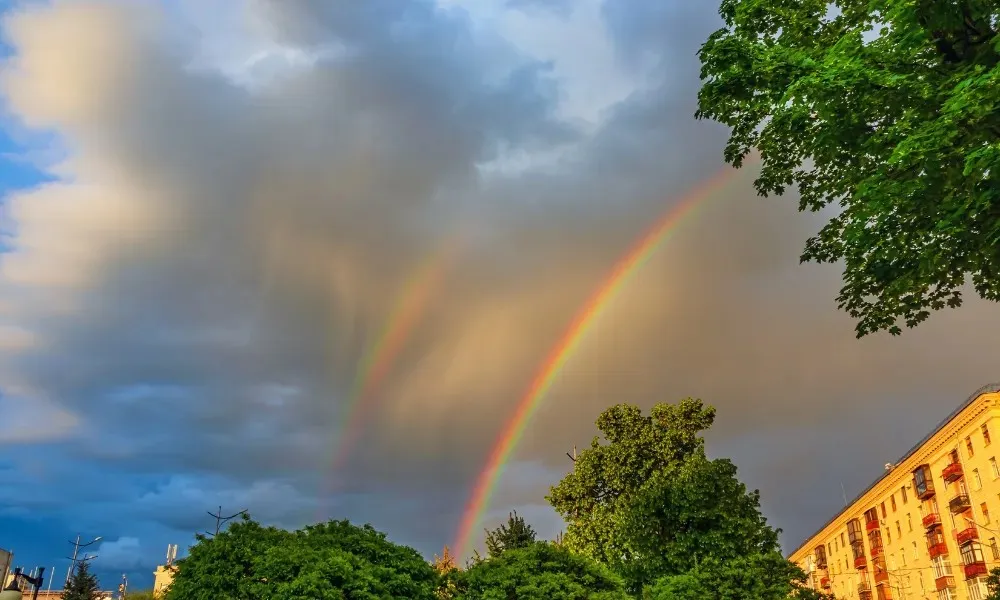 Header Image