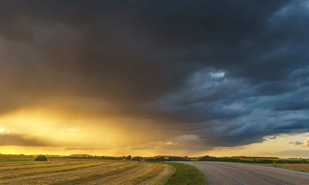 Header Image