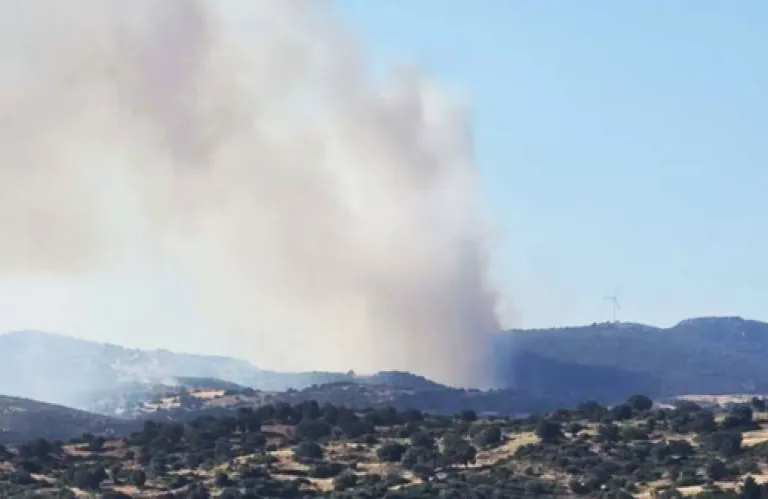 Ξύπνησε ο πύρινος εφιάλτης στην Ελλάδα: Τιτάνια μάχη με τις φλόγες στην Εύβοια – 120 πυροσβέστες και 15 εναέρια μέσα (εικόνες + βίντεο)