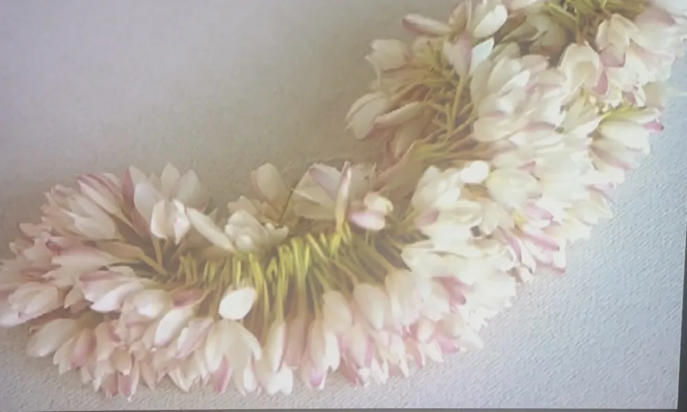 Main Article Image or placeholder