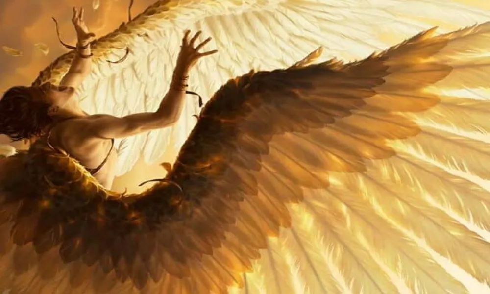 Header Image