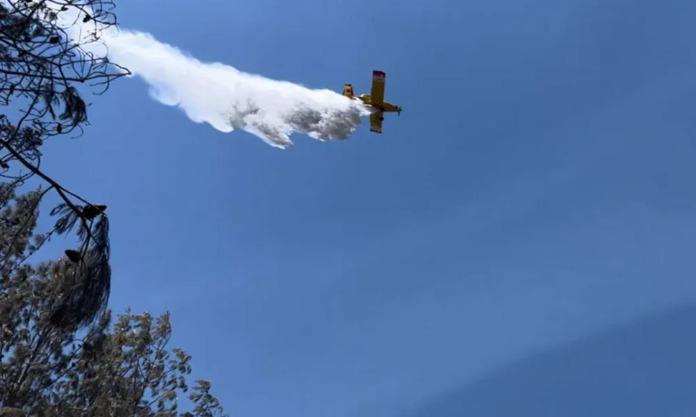 Header Image
