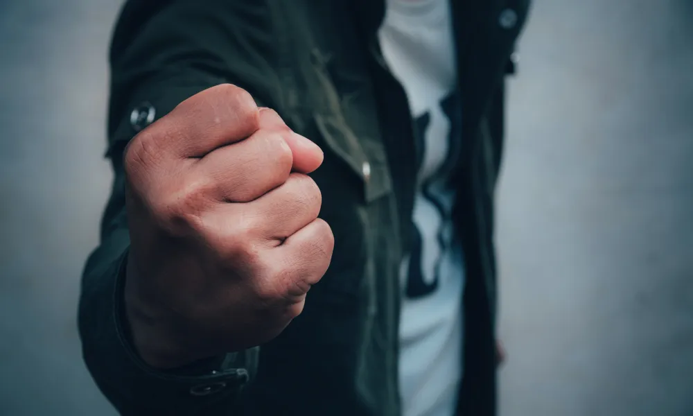 Header Image