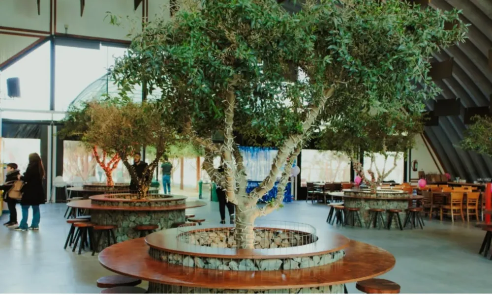 Το WIP Festival 2026 δίνει ραντεβού στο Fengaros - «Πρώτη γεύση» του «Ground Truth» και του φεστιβάλ