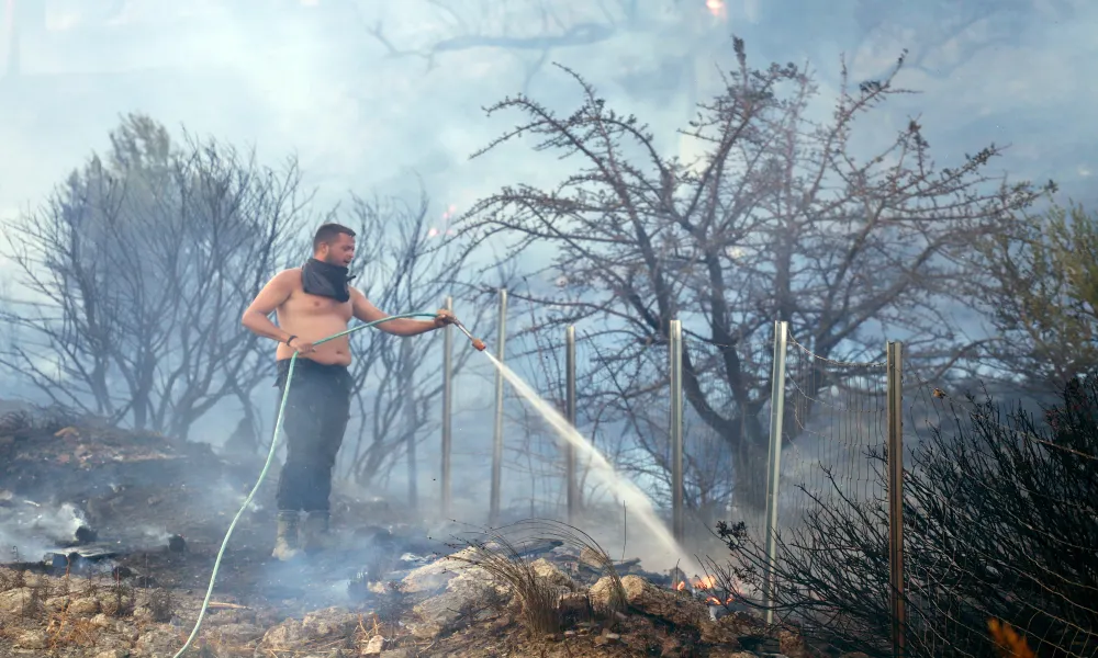 Header Image