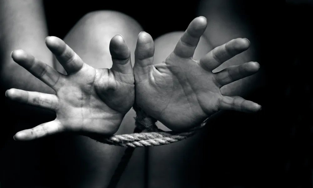 Header Image