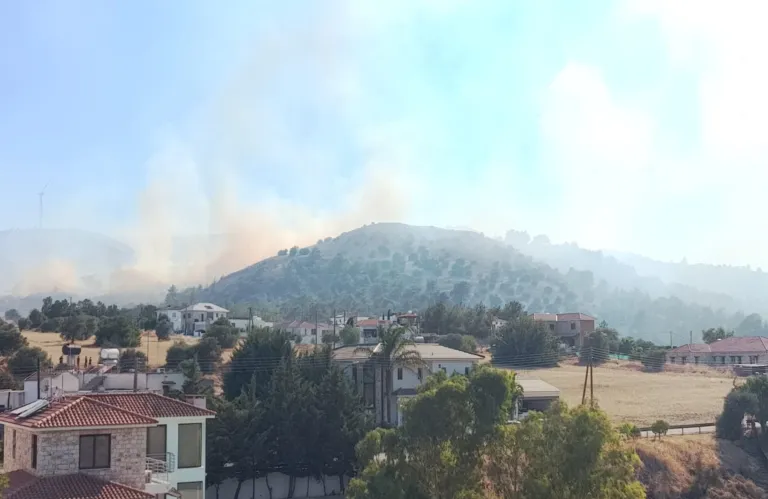 Article Thumbnail
