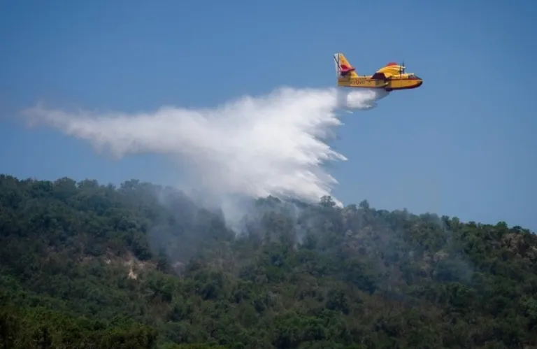 Article thumbnail