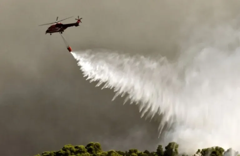 Article Thumbnail