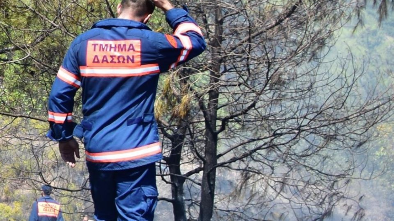 Υπό έλεγχο η πυρκαγιά στην επαρχία Λεμεσού - Ξεκίνησε από σπινθήρες σμιριλίου