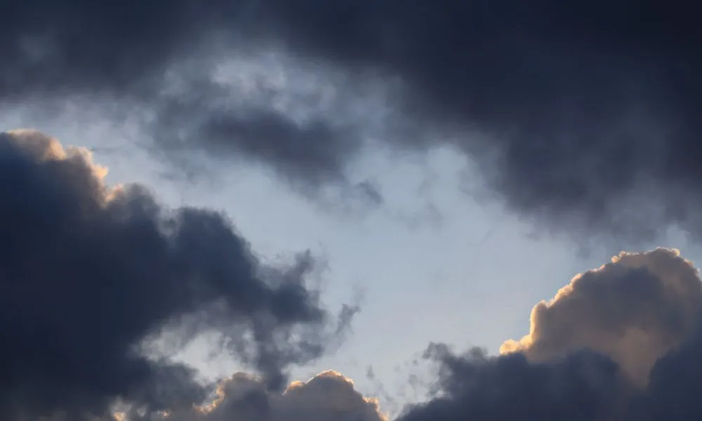 Header Image