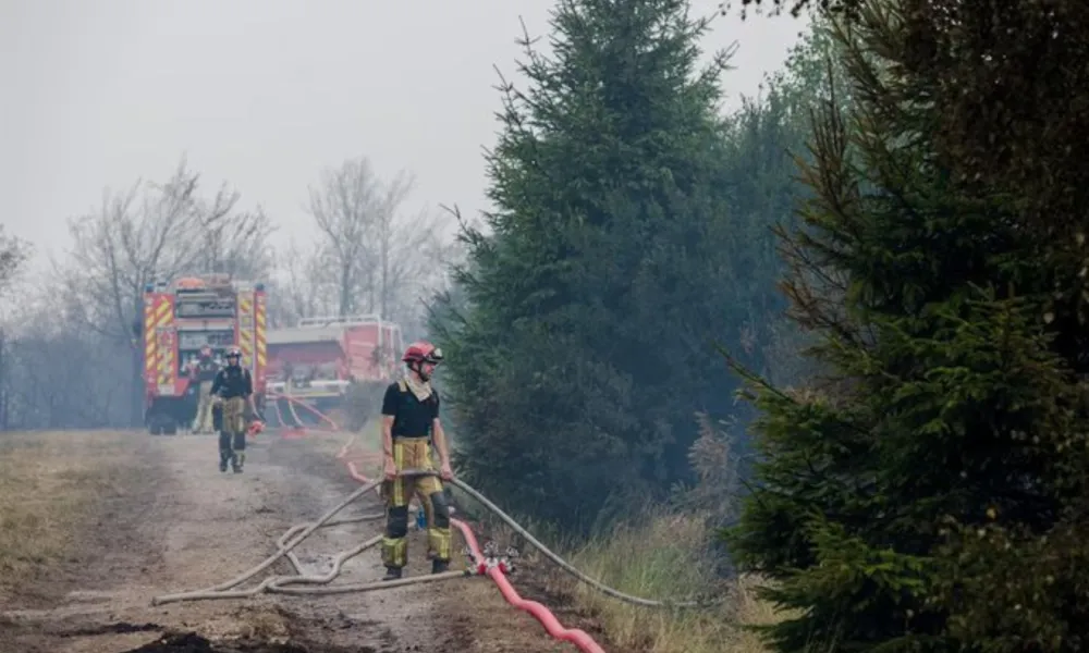 Header Image