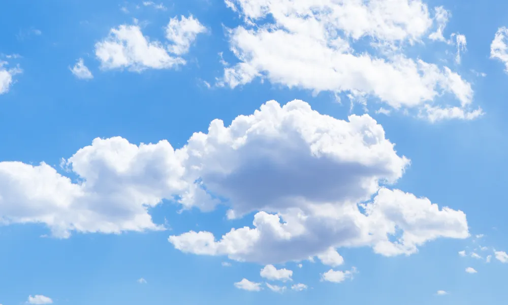 Header Image