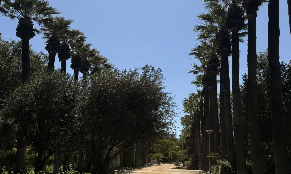 Header Image