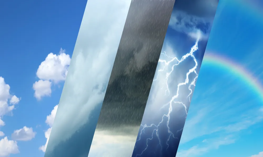 Header Image