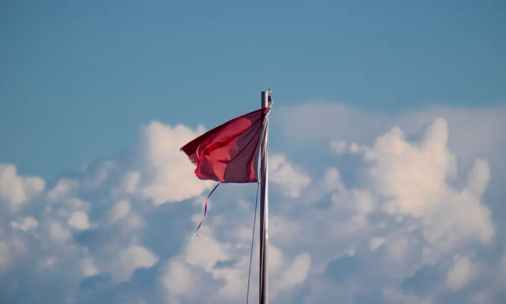 Header Image