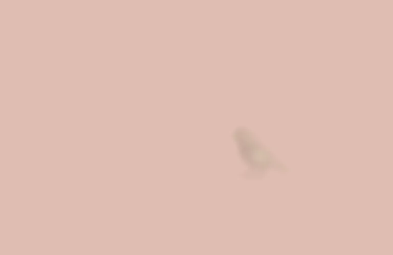 Post thumbnail or placeholder