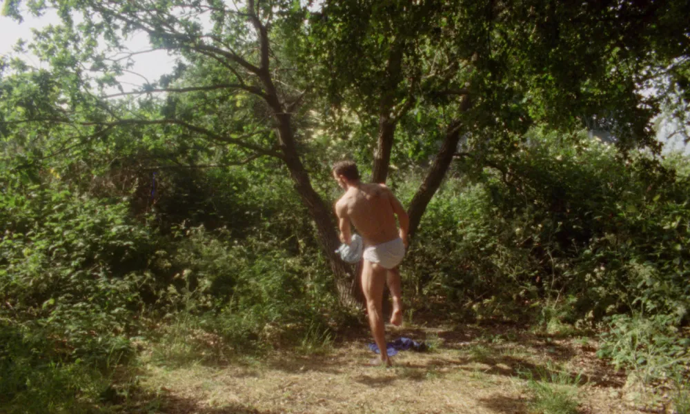 Header Image