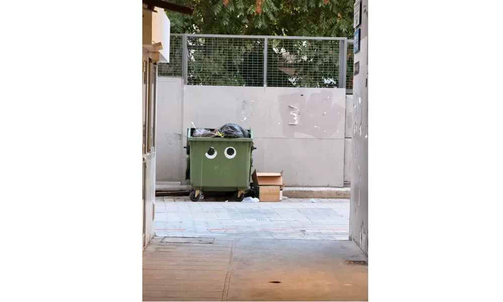Header Image