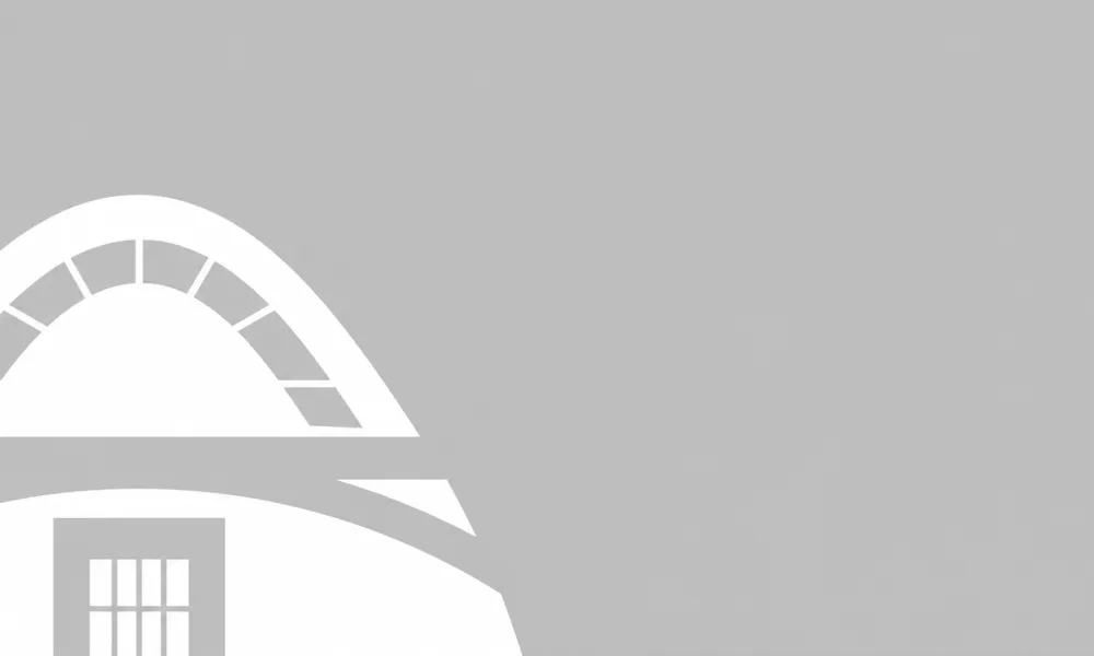 Post thumbnail or placeholder