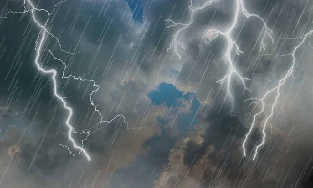Header Image