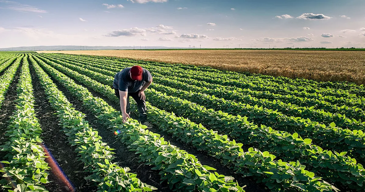 Farmers Can Claim Up to €5,000 Under New Fuel and Fertiliser Aid Schemes
