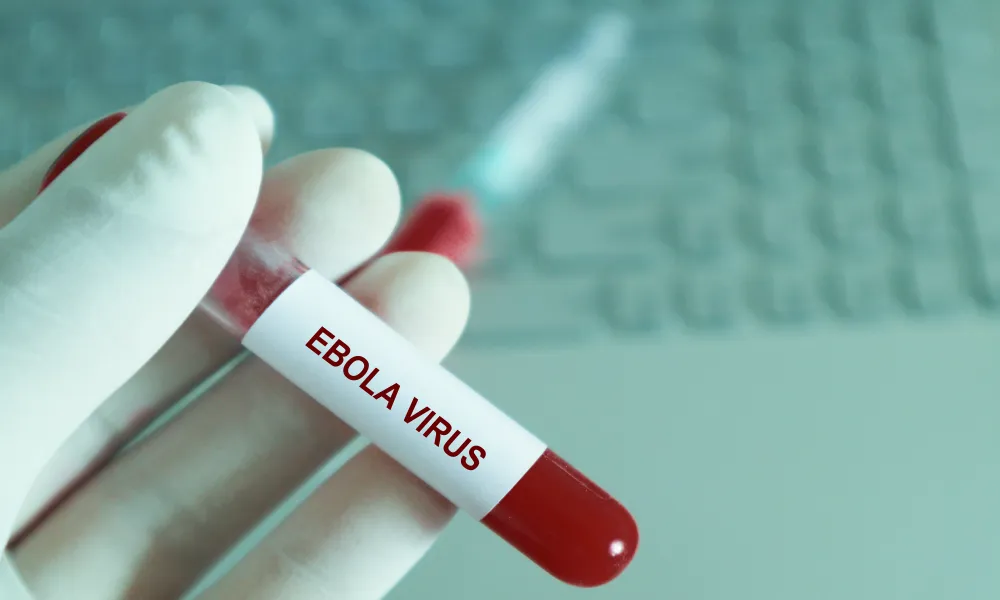 Header Image