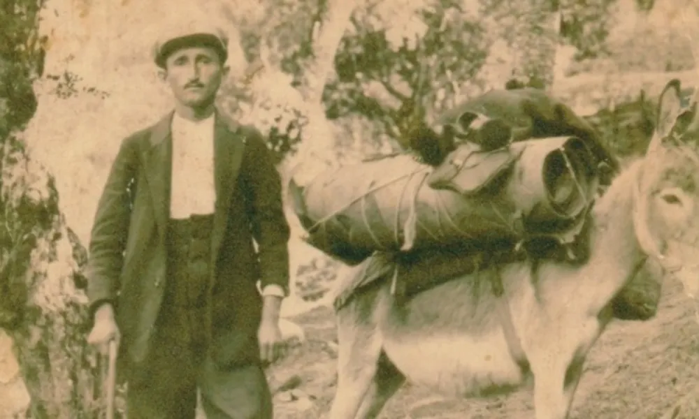 Header Image