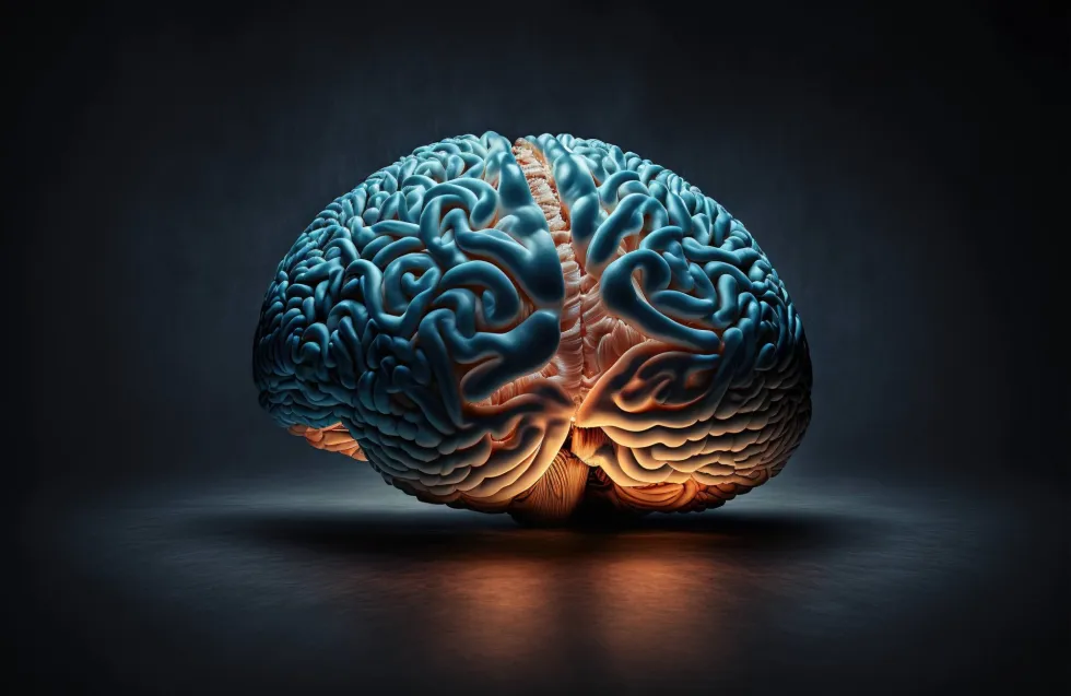 Header Image