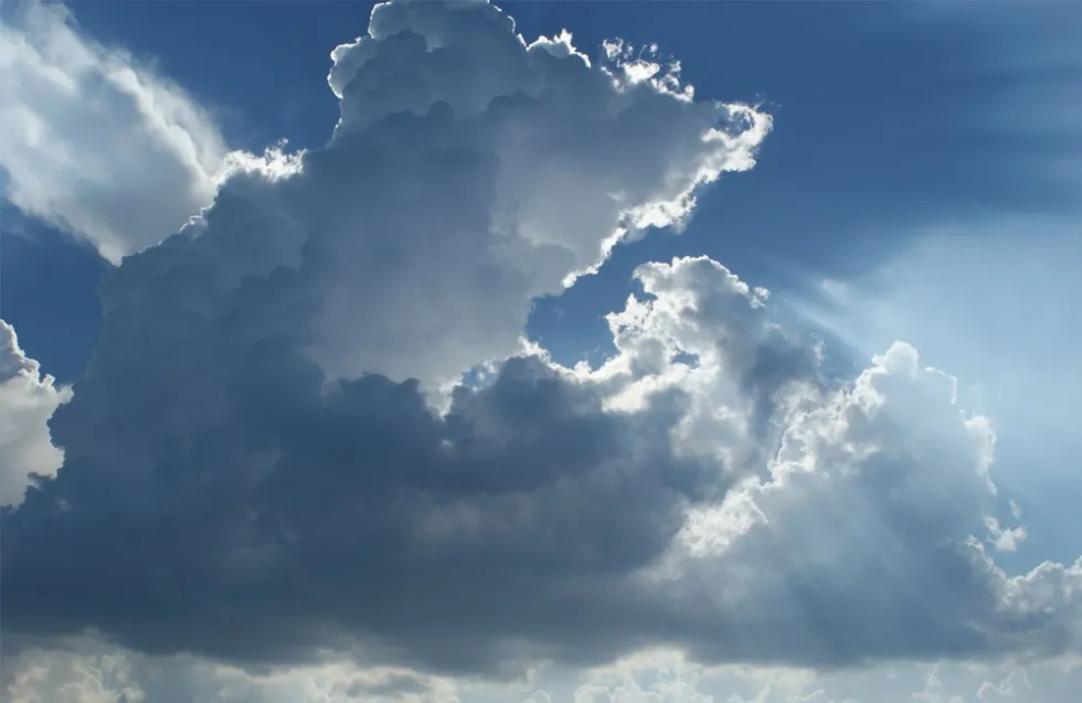 Header Image