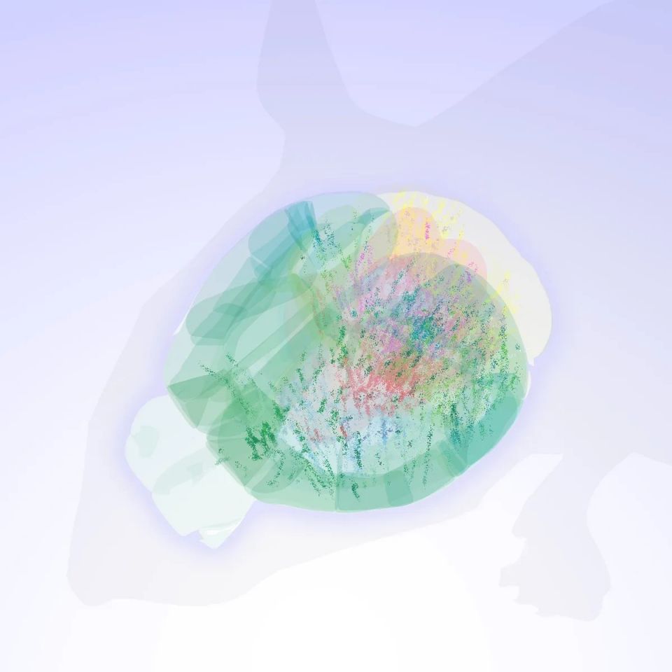 mouse-brain2.jpg