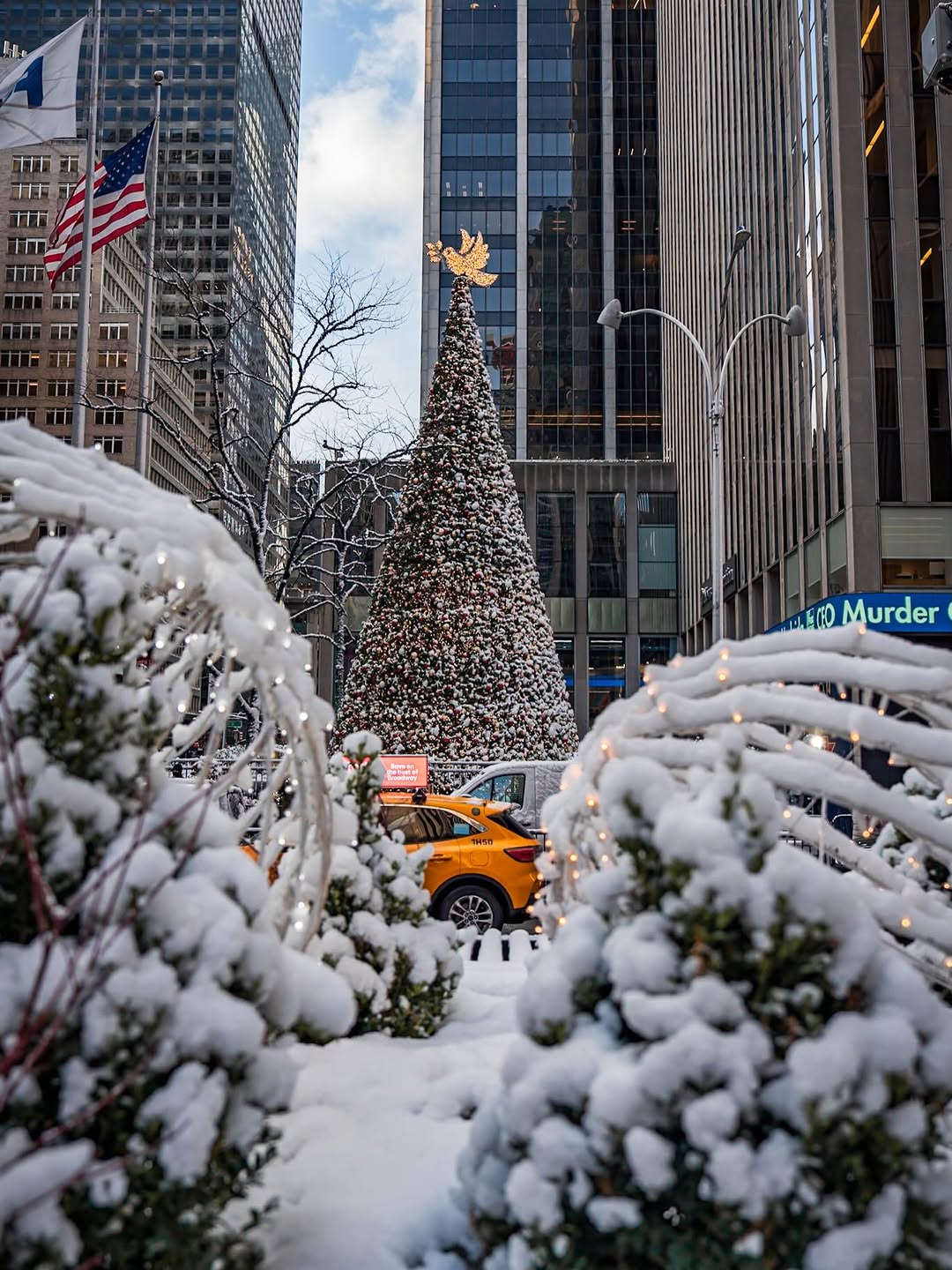 Μπορεί να είναι εικόνα χριστουγεννιάτικο δέντρο και κείμενο
