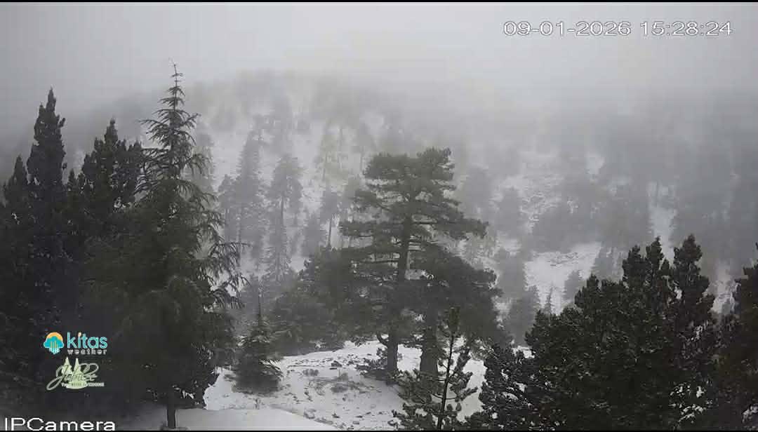 Μπορεί να είναι εικόνα δέντρο, βουνοπλαγιά µε χιόνι, ομίχλη και κείμενο