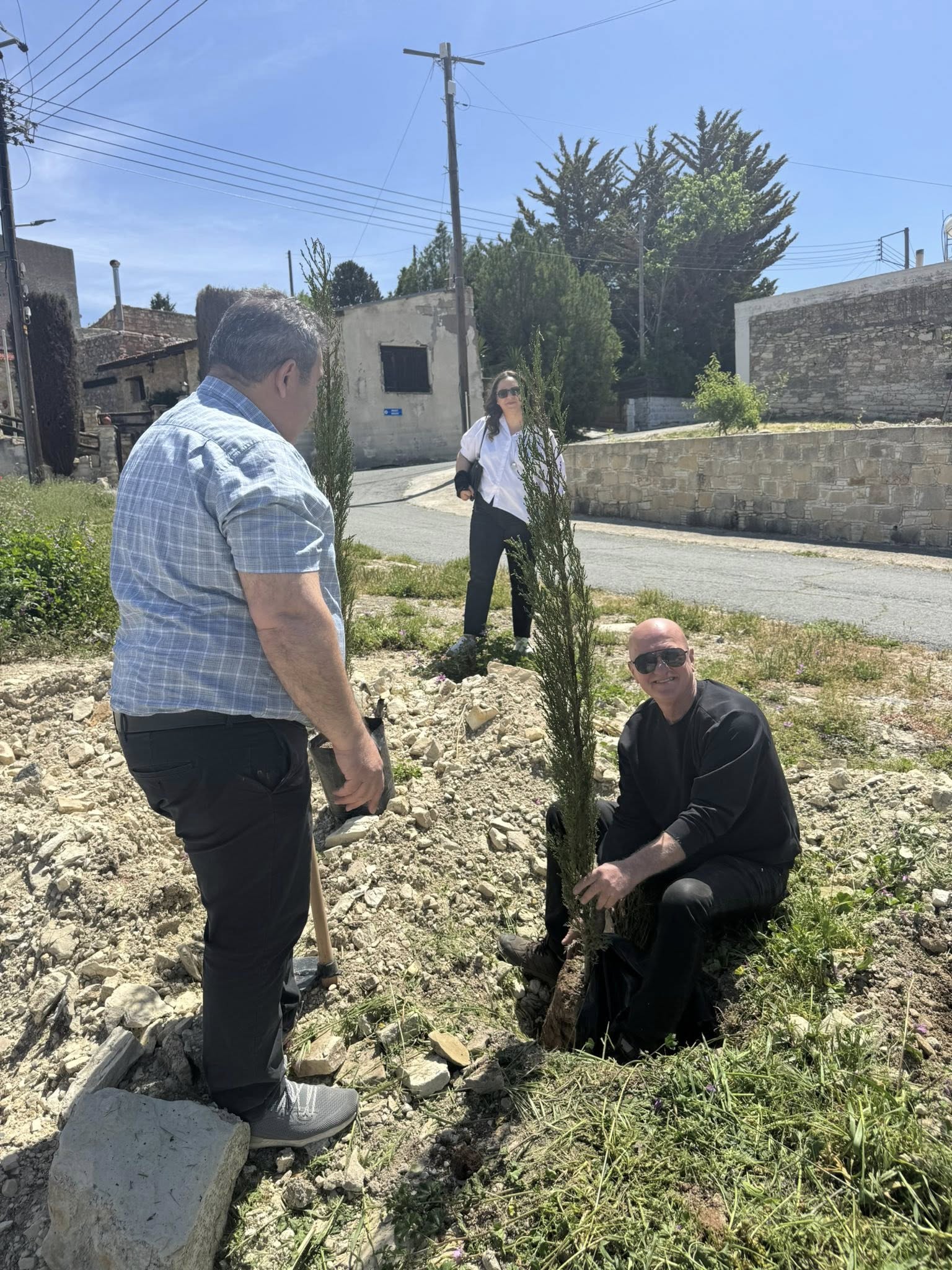 Μπορεί να είναι εικόνα δέντρο